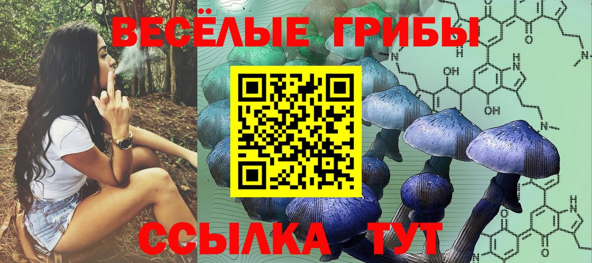 Псилоцибиновые грибы ЛСД  Галлюциногенные грибы Cubensis  Вход с VPN  Туймазы 